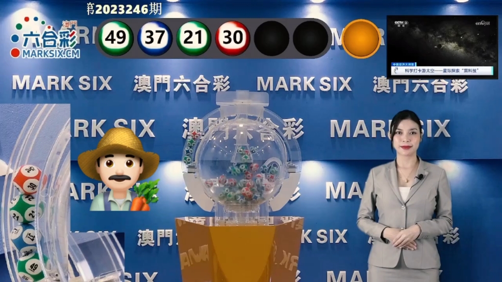 澳门六公彩开奖结果与十开奖记录查询表详解