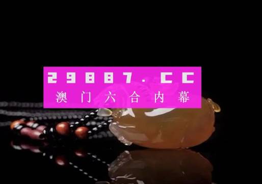 澳门六叔公资料网站官方网页，深度探索与历史传承