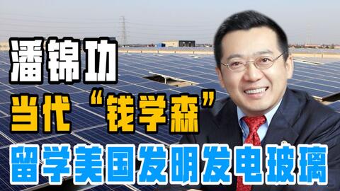 澳门六公叔内部爆料事件视频完整免费版探究