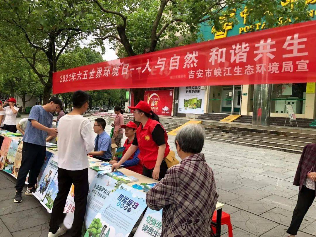 澳门六开走势图表最新图片分析