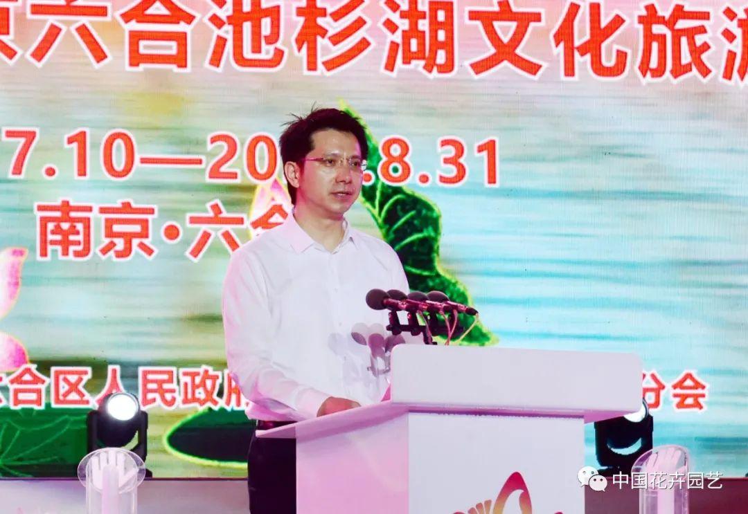 澳门六开走势分析与最新开奖结果解读
