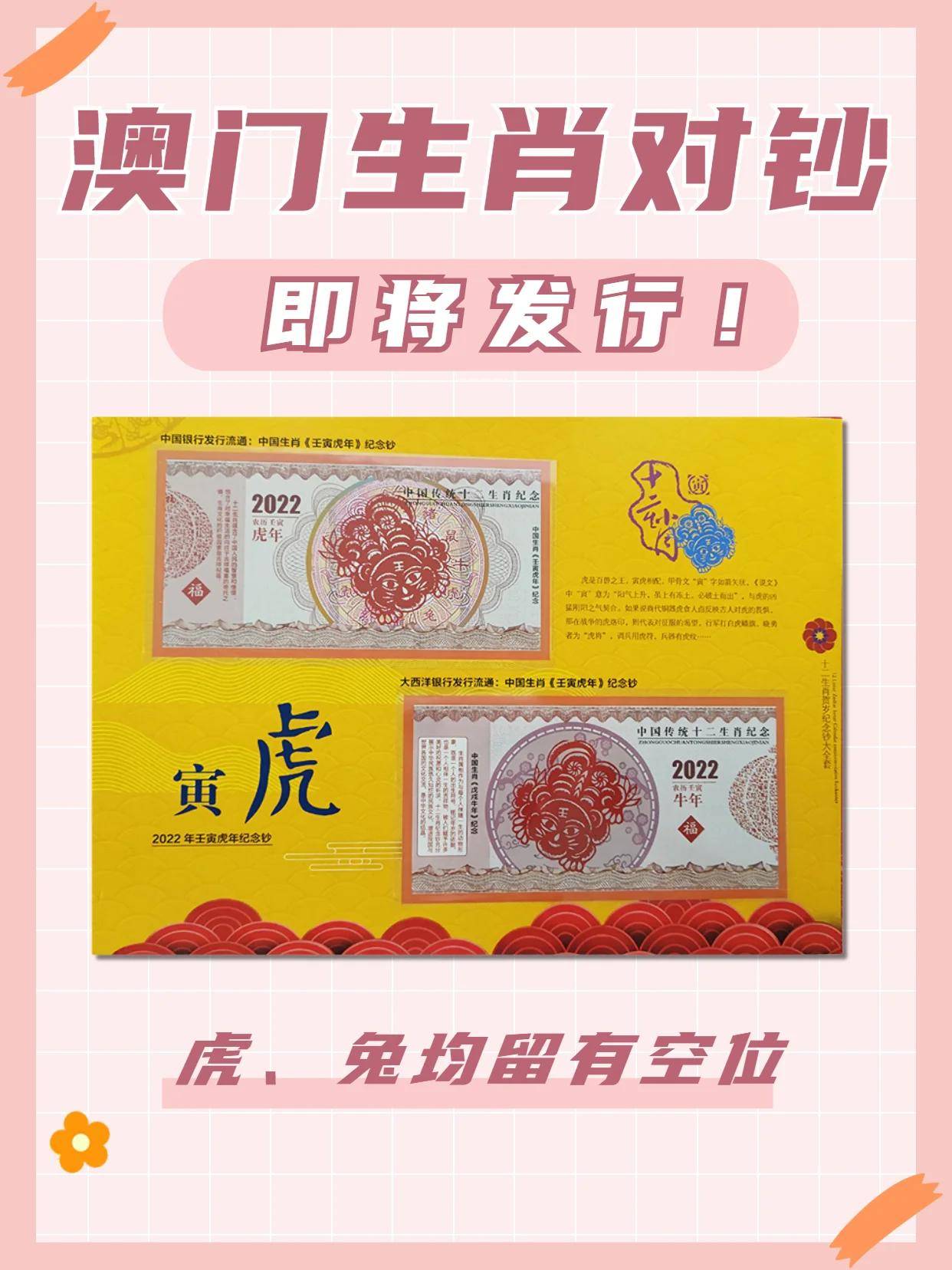 澳门六号论坛最新消息今天开奖，深度解读与预测