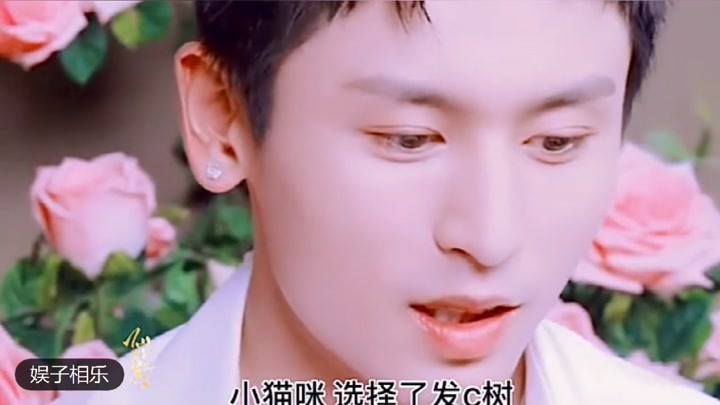 澳门六爷资料视频完整免费版在线观看，深度探索与娱乐体验