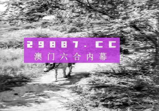 澳门六码经典大全最新资料解析