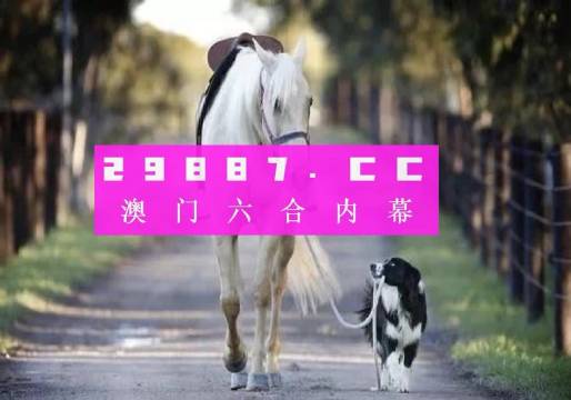 澳门六采49图库与澳门资科大全，深度解析其特点与优劣