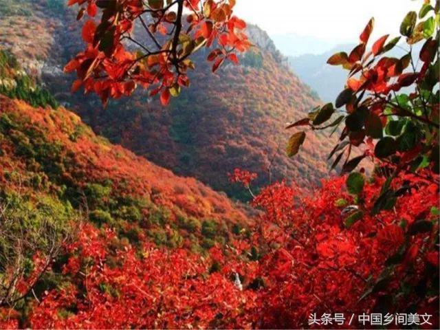 澳门六六大顺月饼礼盒深度解析
