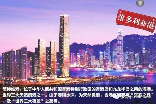 澳门六开论坛网站概览，优质论坛的多元魅力